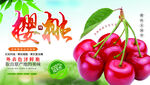 樱桃挂图 