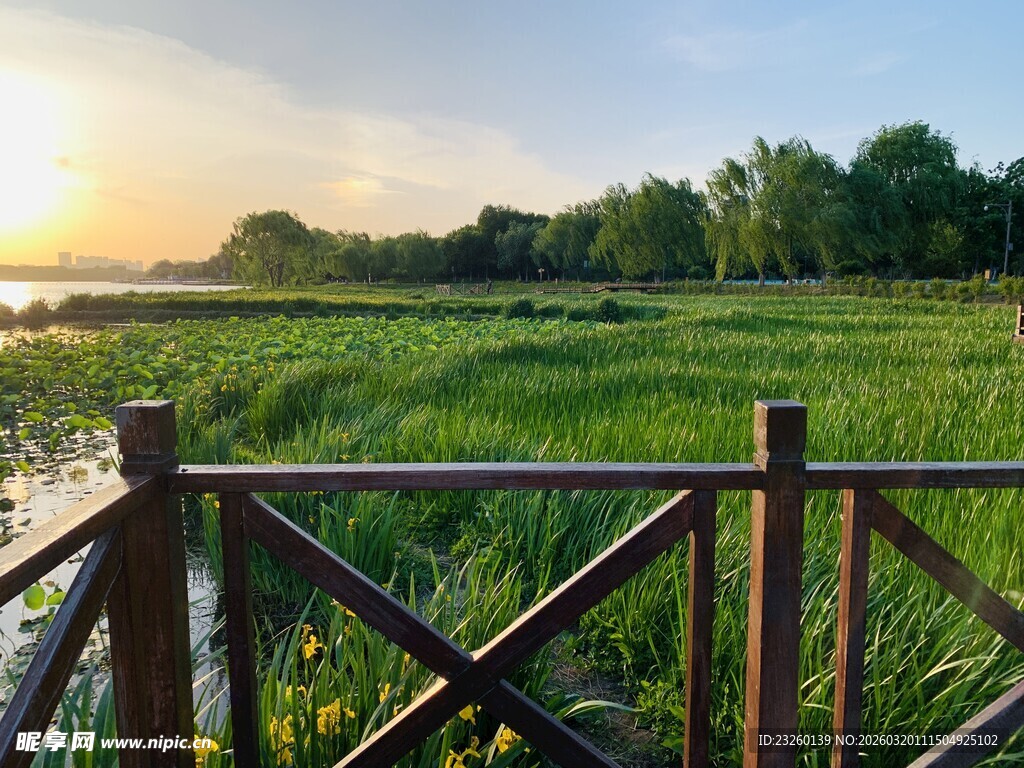 夕阳下的河畔木栏风景