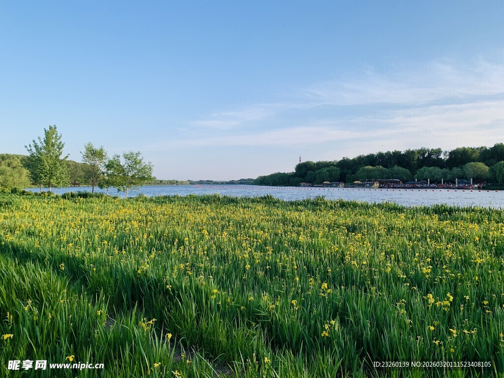 春日绿野河畔风光