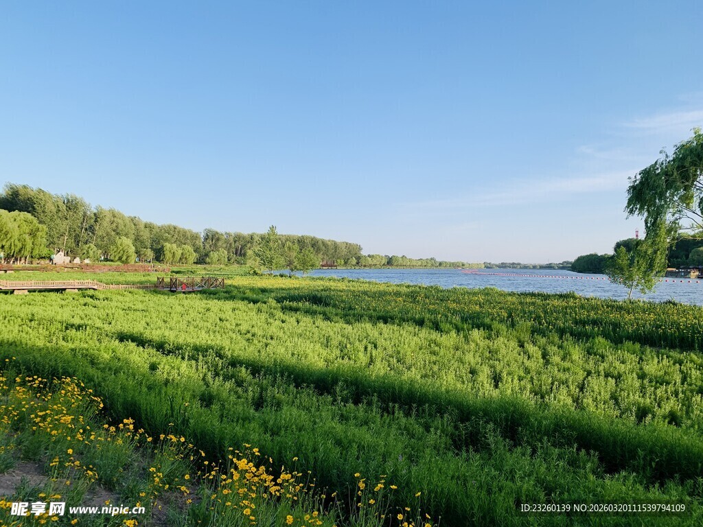 湖畔绿野风光