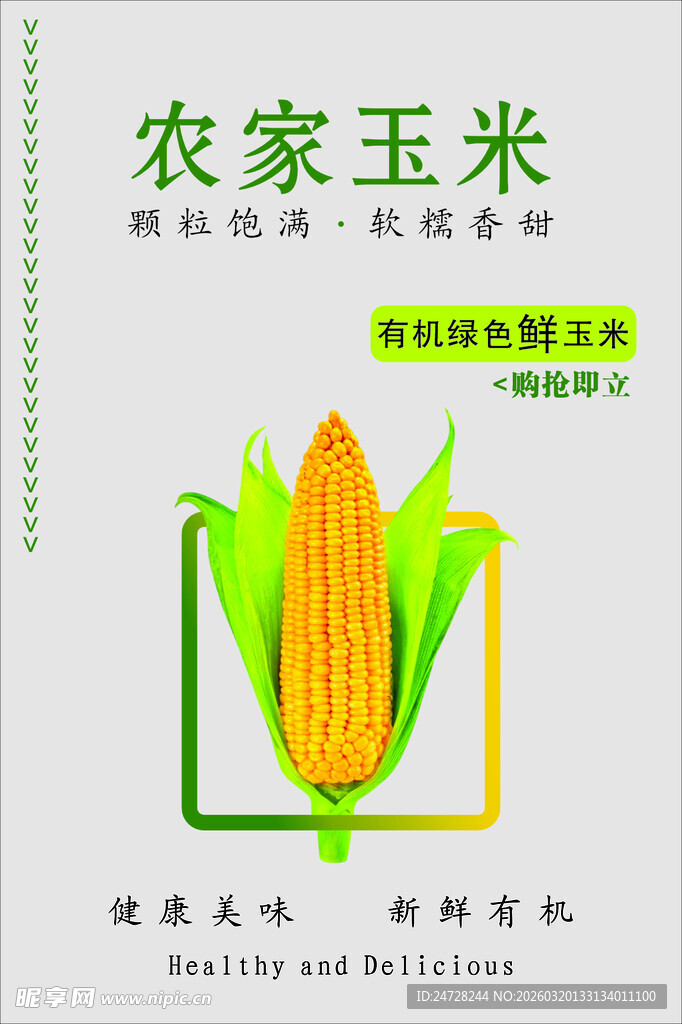 农家新鲜玉米  自然好滋味