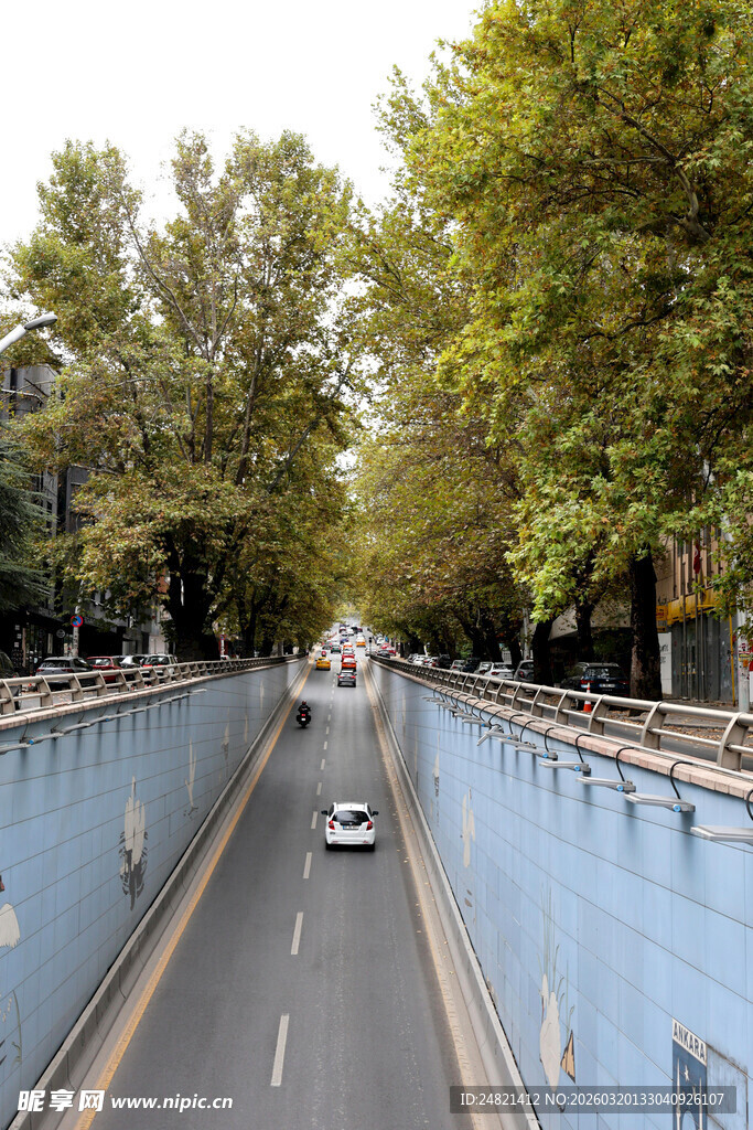 城市绿荫下的地下道路