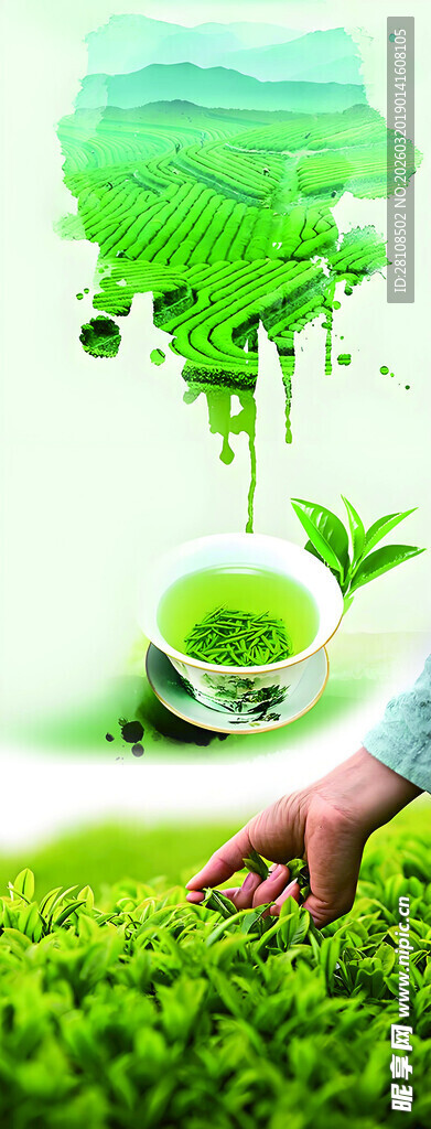 手触绿意 开启环保新篇