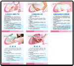 女性生殖系统知识科普图