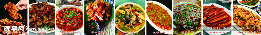 多样美食拼盘展示