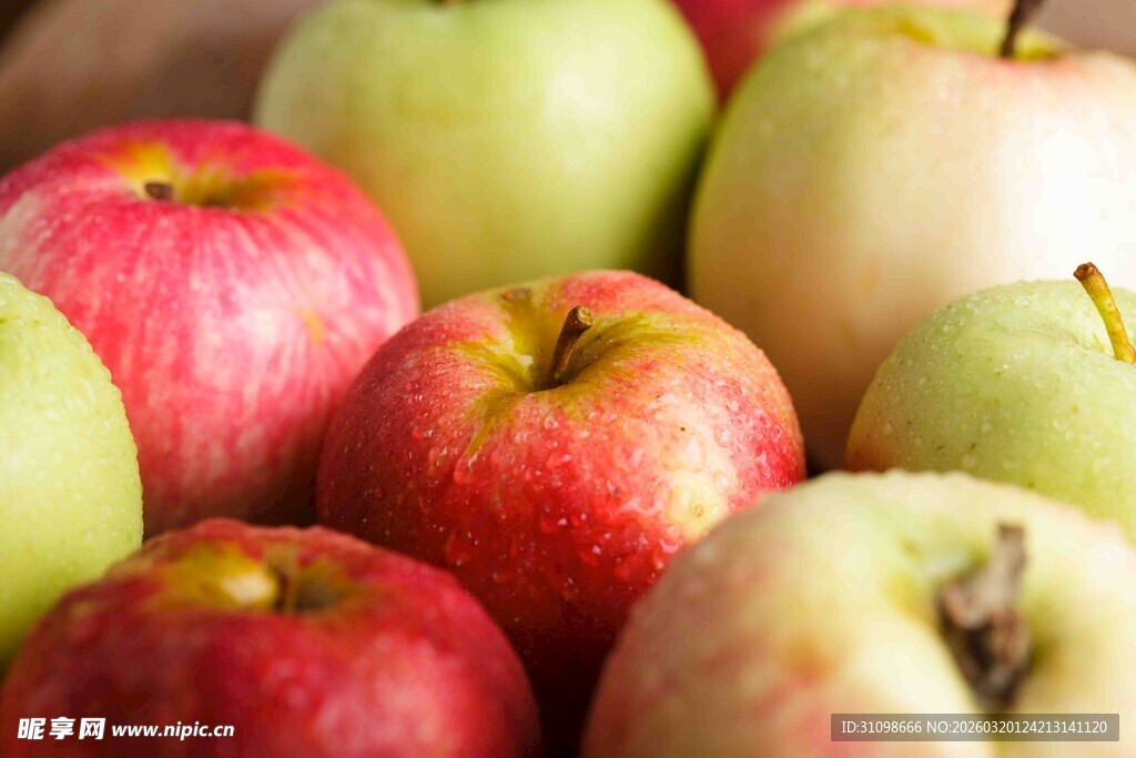 多彩鲜苹果特写