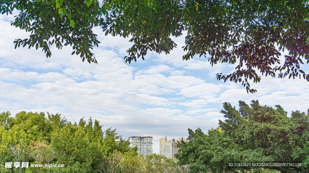 绿树蓝天间的开阔景致