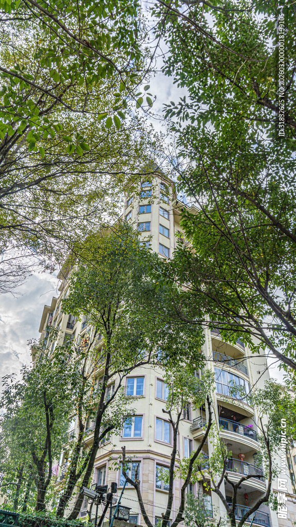 绿树掩映下的现代建筑