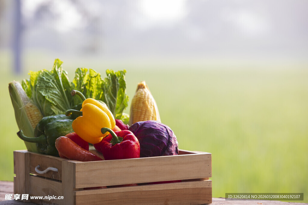 多彩新鲜蔬菜