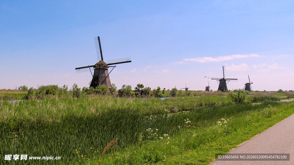 荷兰田野中的古老风车