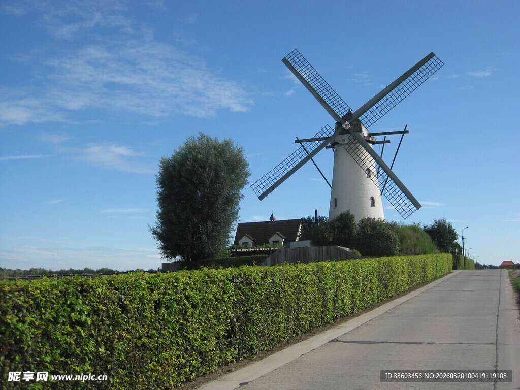 乡村路旁的古老风车