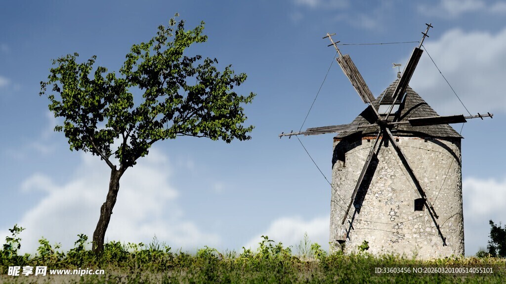 田野中的风车与孤树