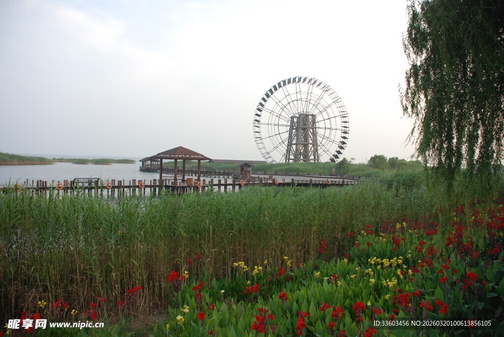 湖畔花海旁的摩天轮美景