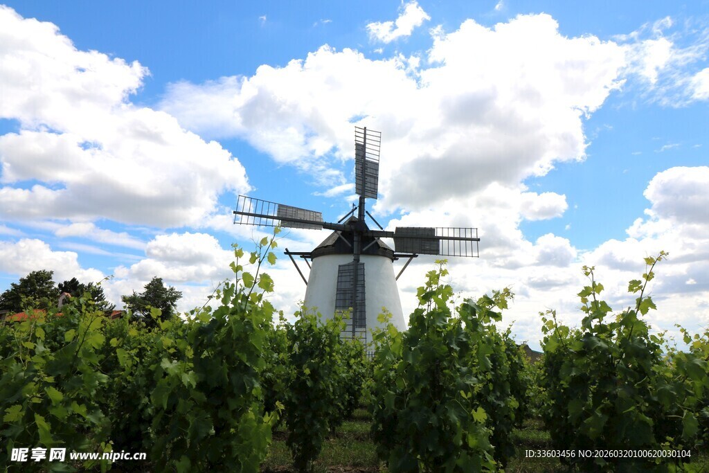 田园中的古老风车