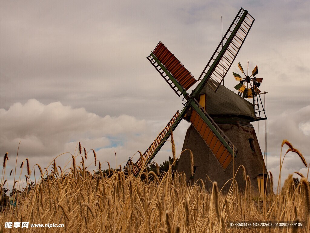 田野中的古老风车
