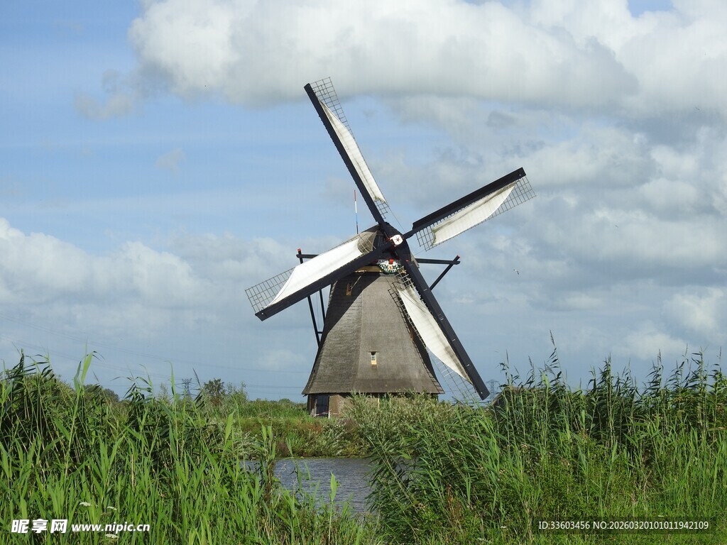 荷兰田野中的古老风车