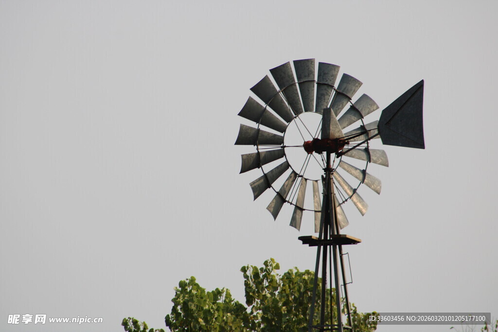 老式风车立于绿植之上