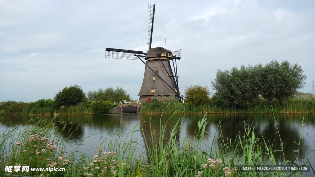 荷兰风车旁的宁静水景