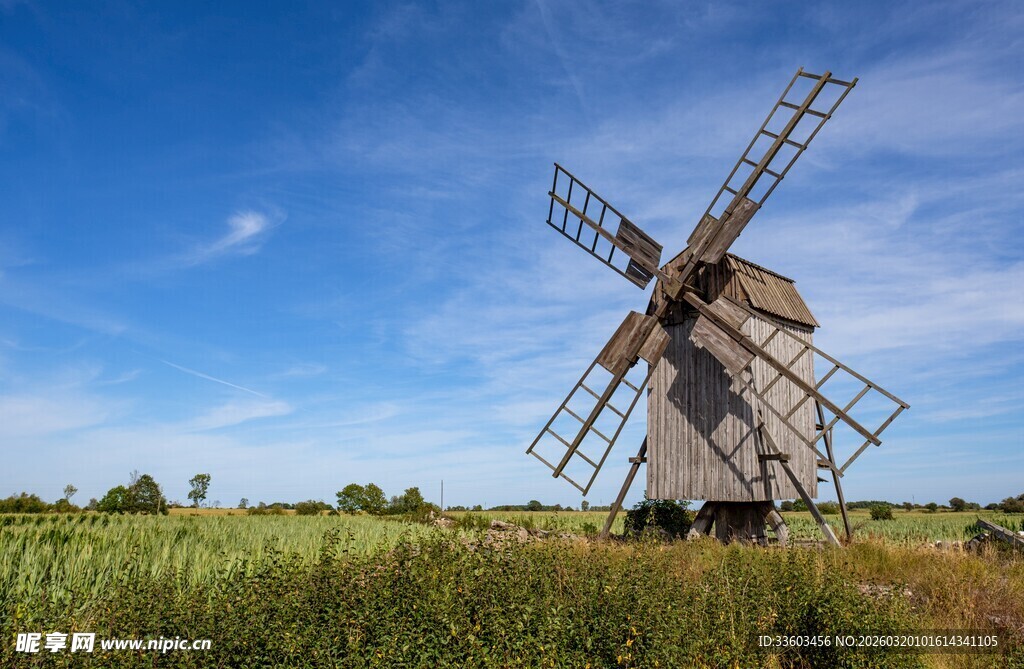 田野中的古老风车