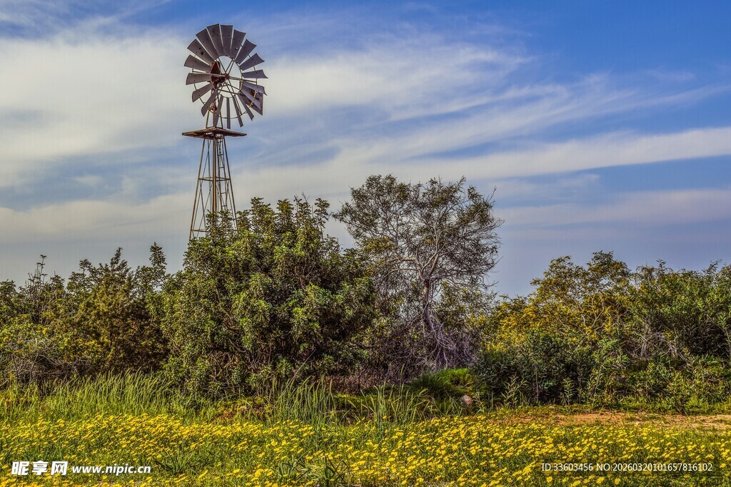 田野中的风车与灿烂花海
