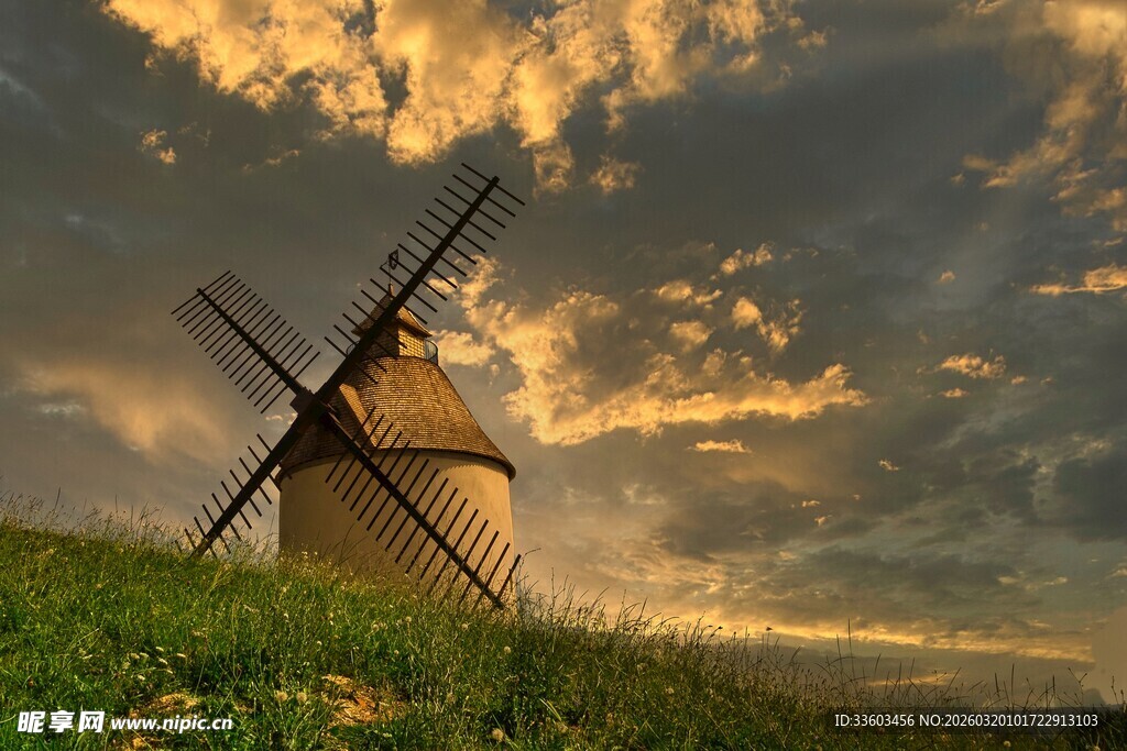 夕阳下的风车与草地