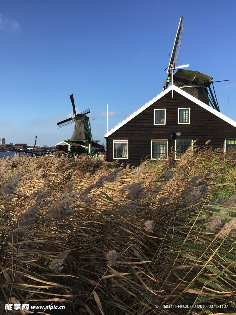 荷兰田园风车小屋风景