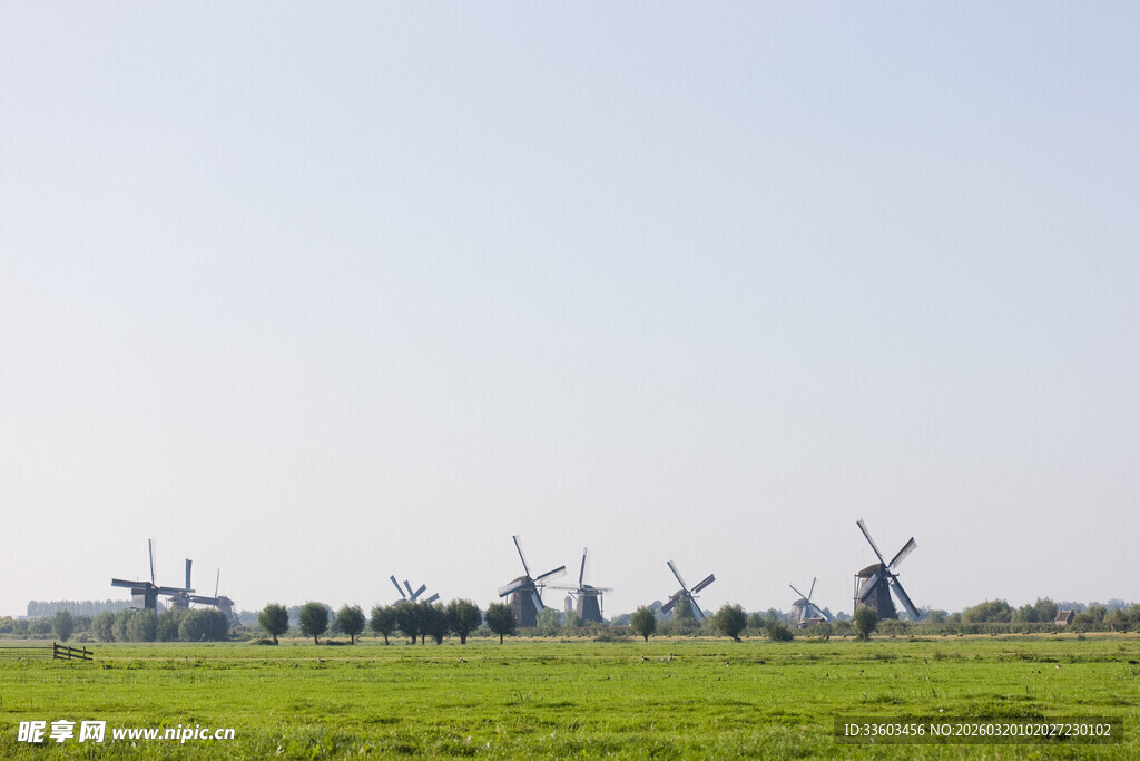 荷兰田野中的古老风车群