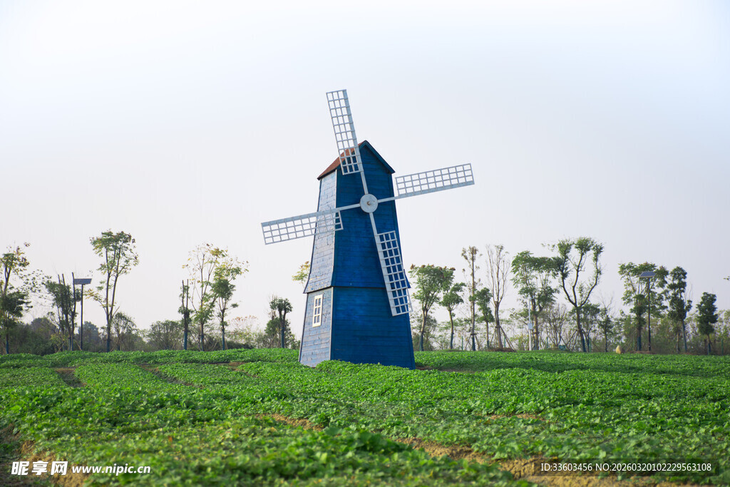 田野中的蓝色风车景观