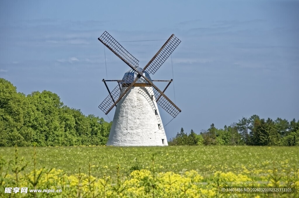 田野中的风车