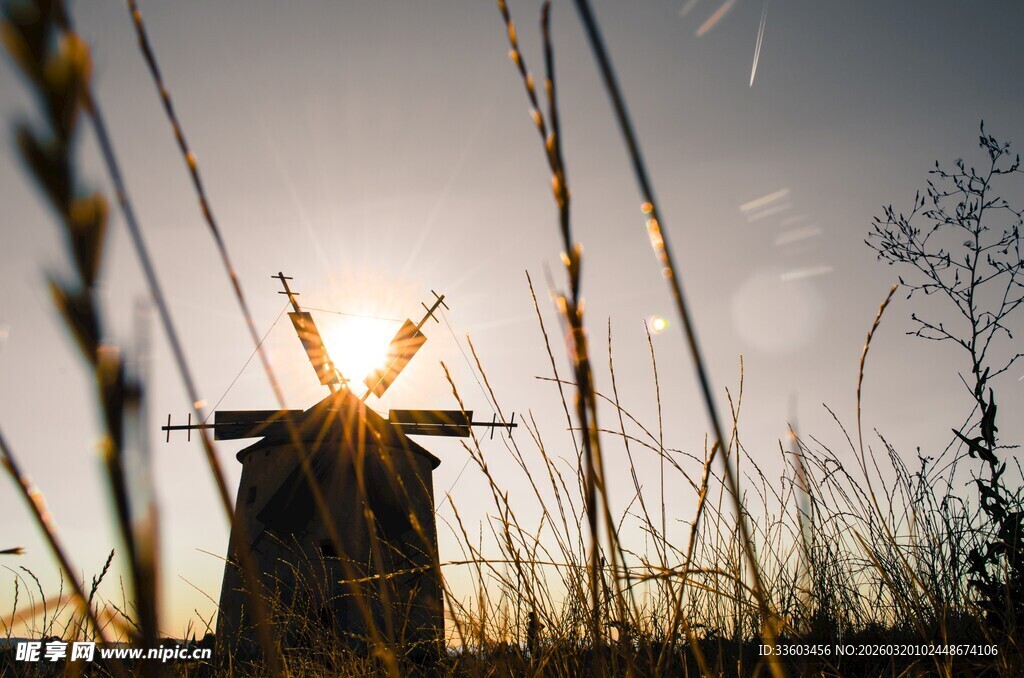 夕阳下的风车与摇曳野草