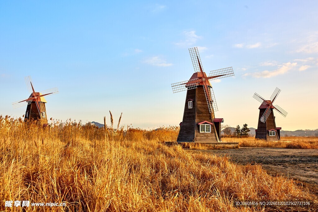 田野上的古老风车