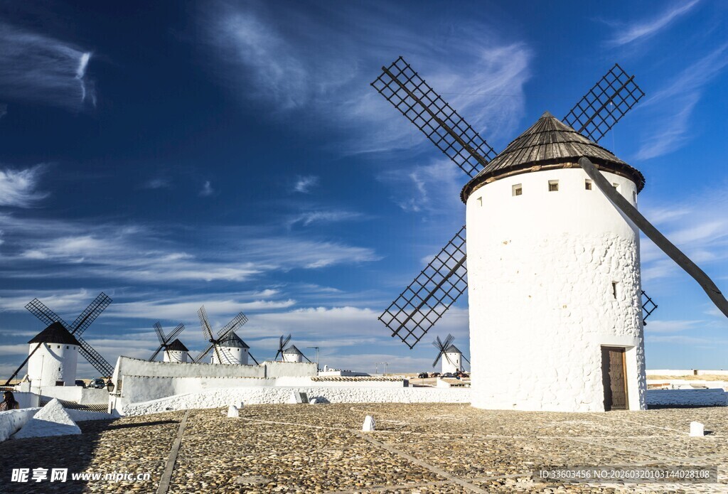 田野中的白色风车景观