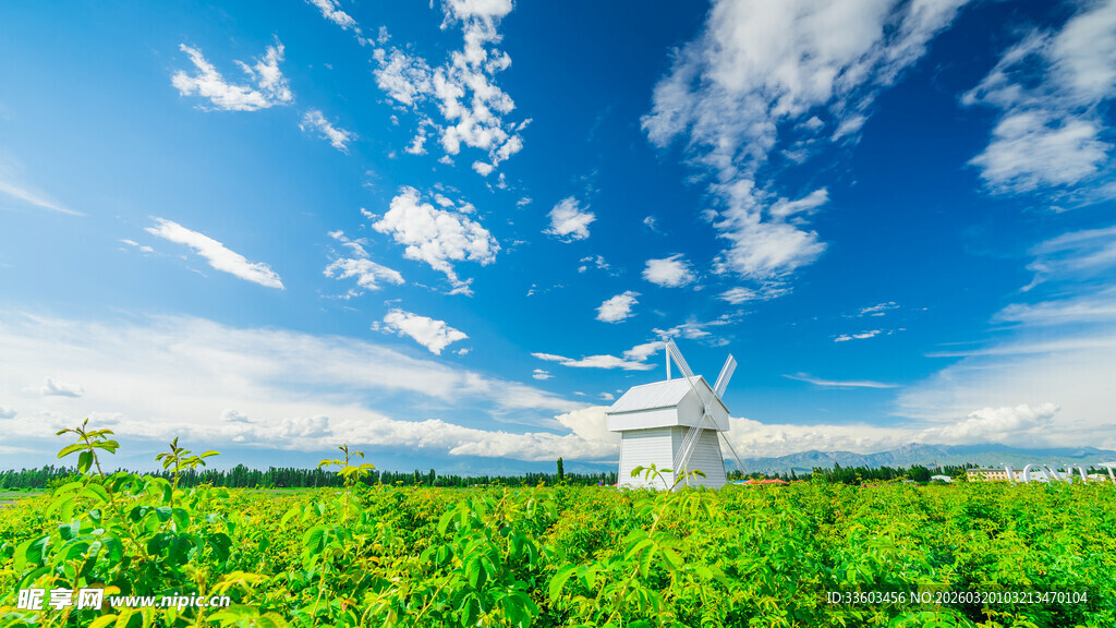 田园风车美景