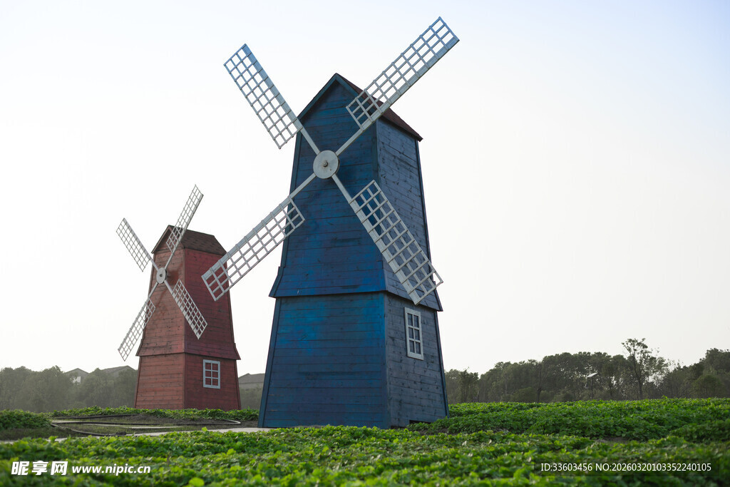 田野中的红蓝风车