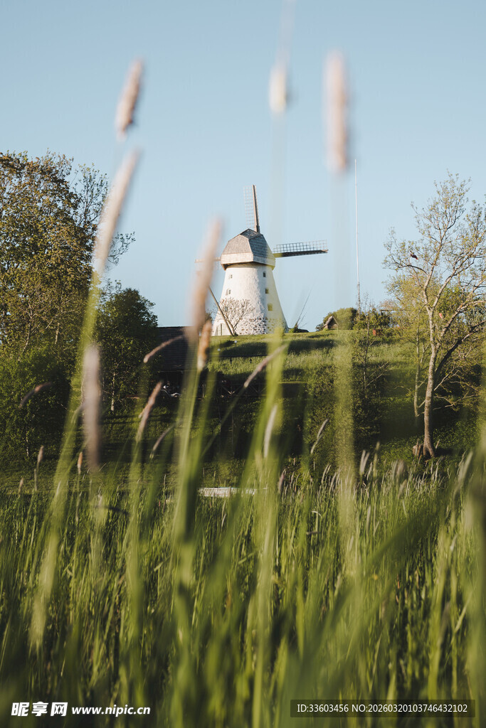 田野中的复古飞机