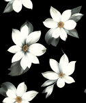 黑色背景上的白色花卉图案