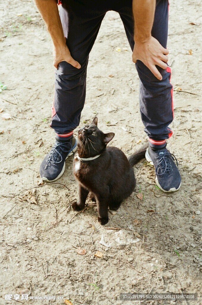 人与黑猫亲密互动瞬间