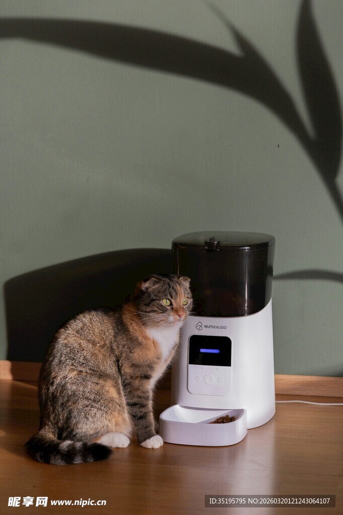 猫咪嗅探智能宠物喂食器