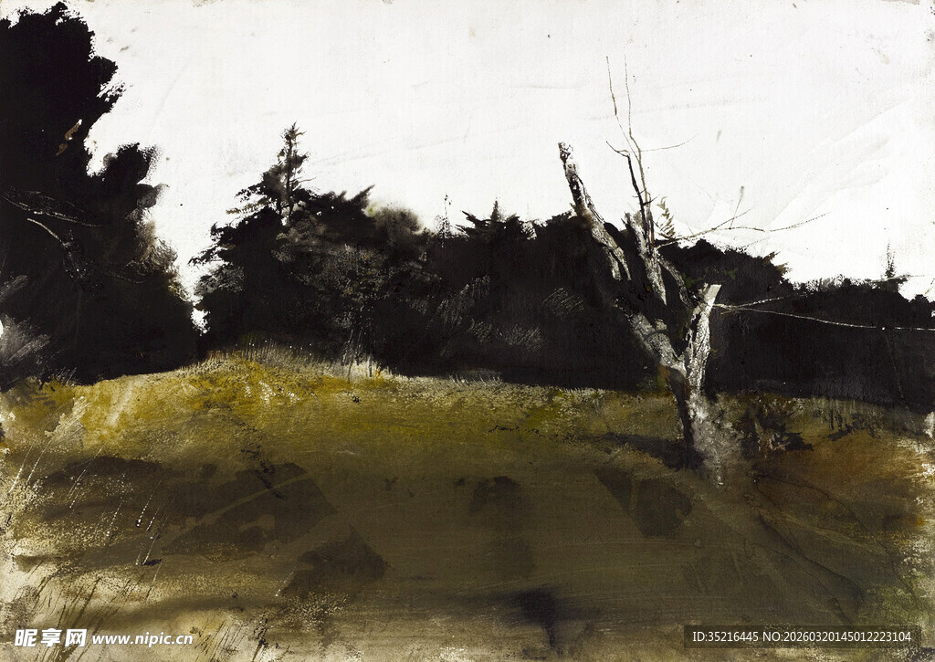 荒野孤树风景图