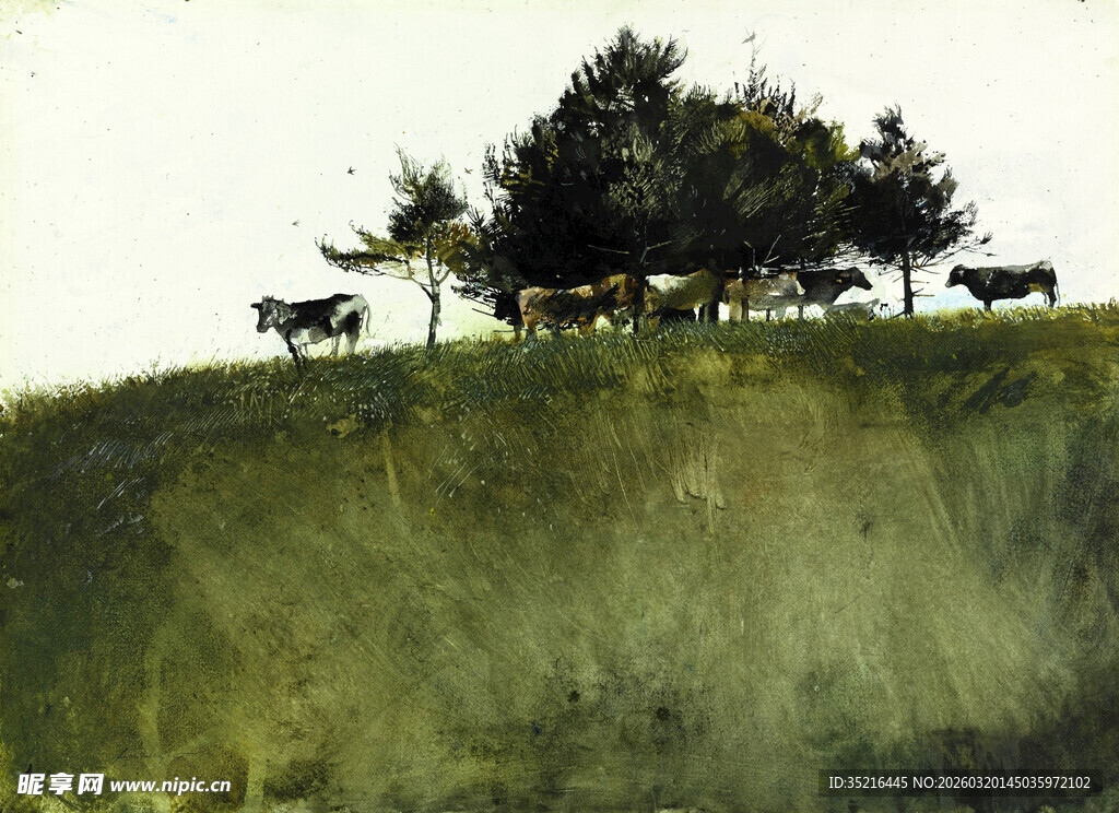 草原上的牛群与树木