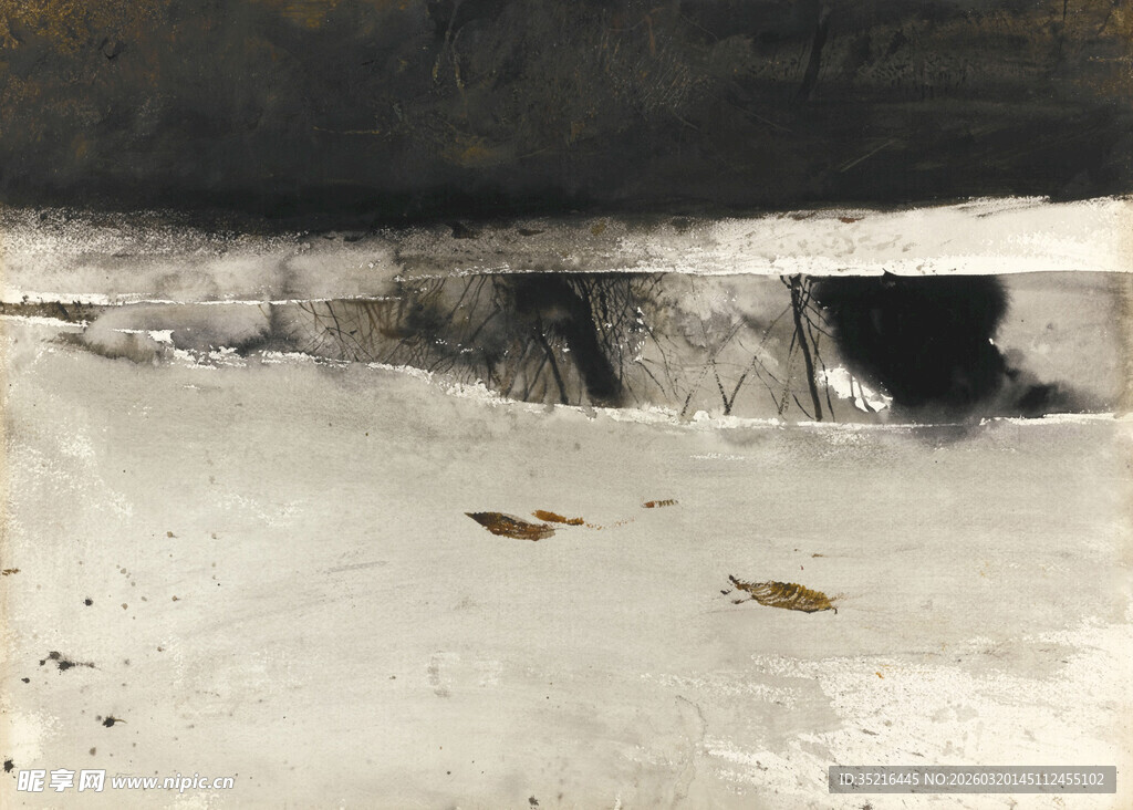 雪地缝隙中的落叶景象