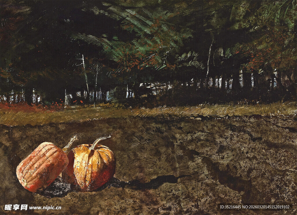 田野中的南瓜静物景象