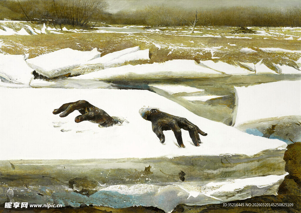 冰原上的两只北极熊