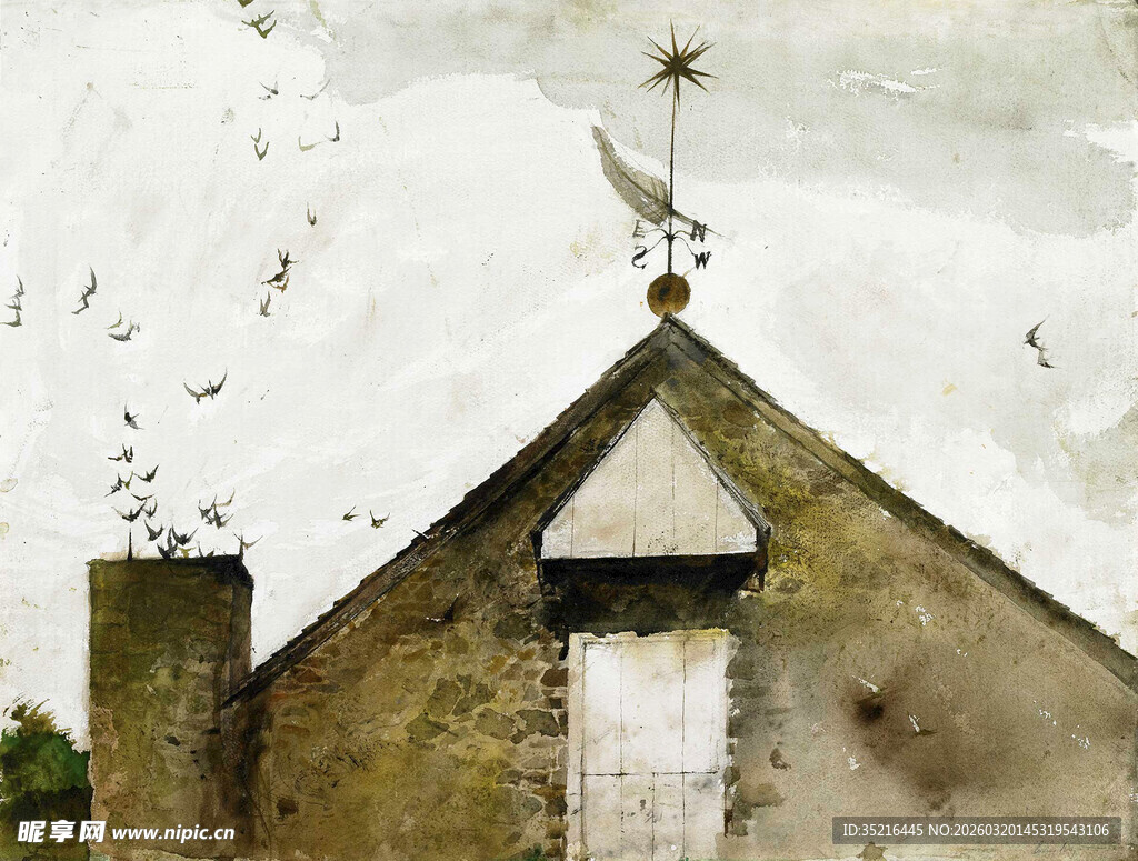 乡村小屋顶的风向标与飞鸟