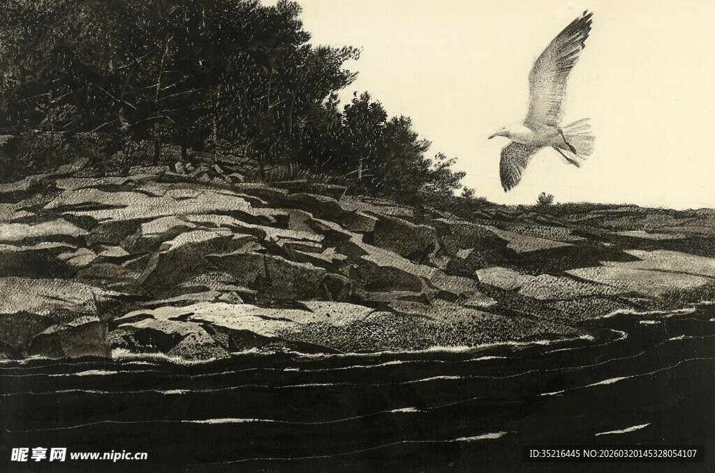 海边岩石上飞翔的海鸥