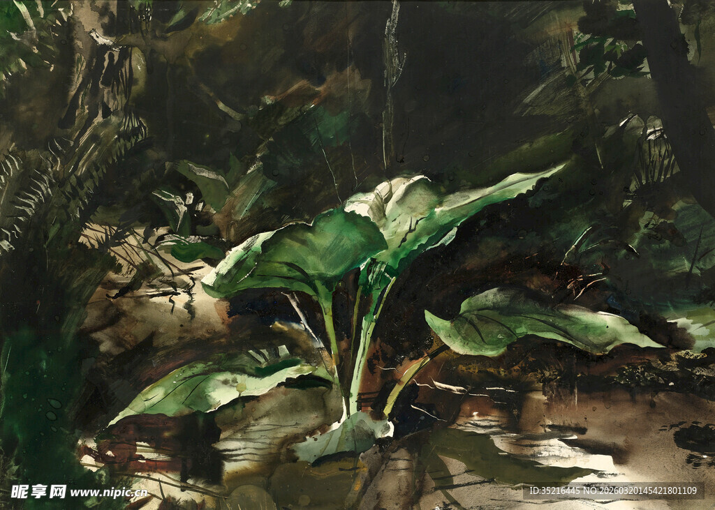 丛林中的翠绿植物