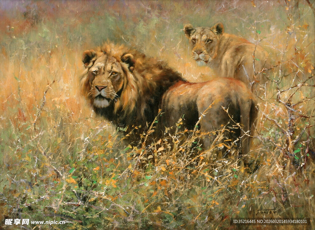 草原上的雄狮与幼狮