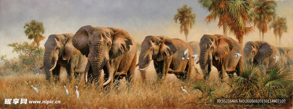 草原上的大象群