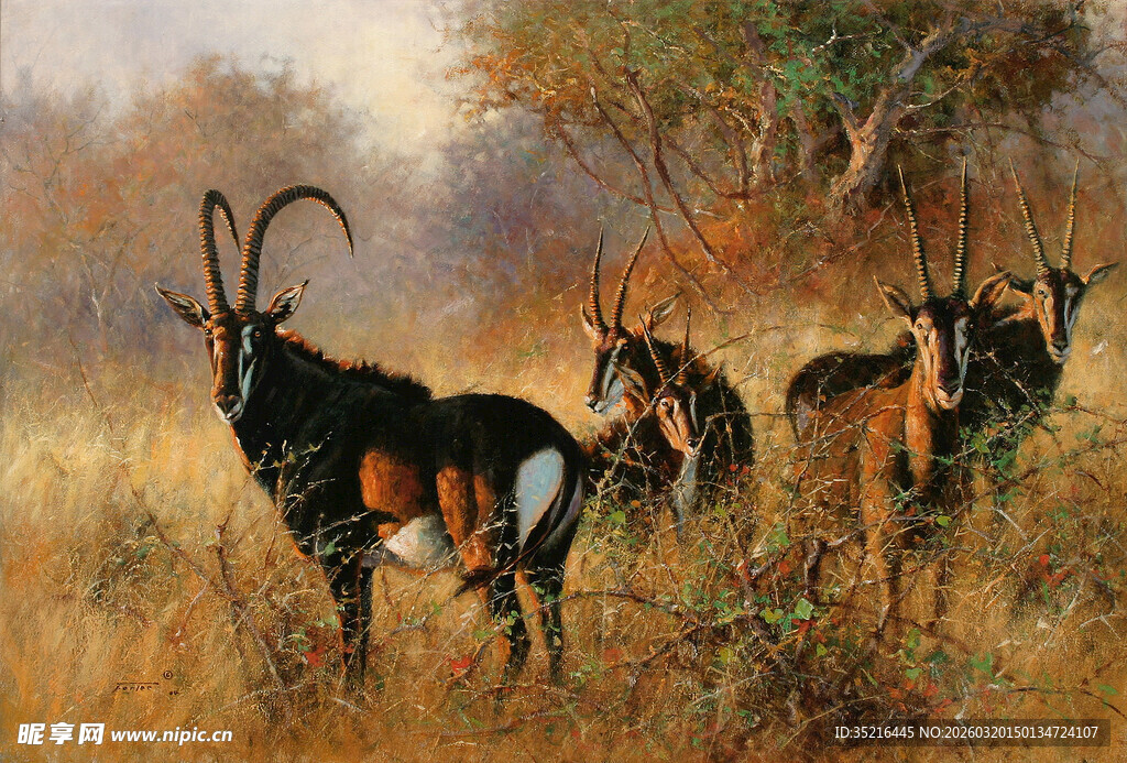 草原上的薮羚群