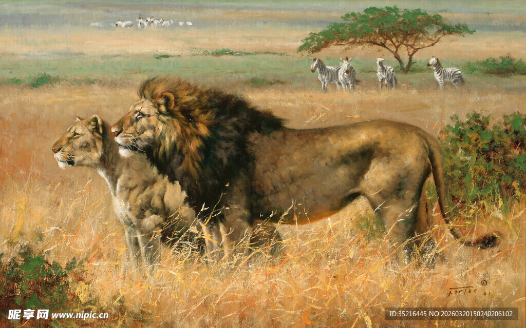 草原上的雄狮与雌狮